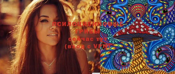 spice Кодинск