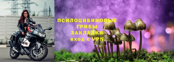 гидра Костерёво