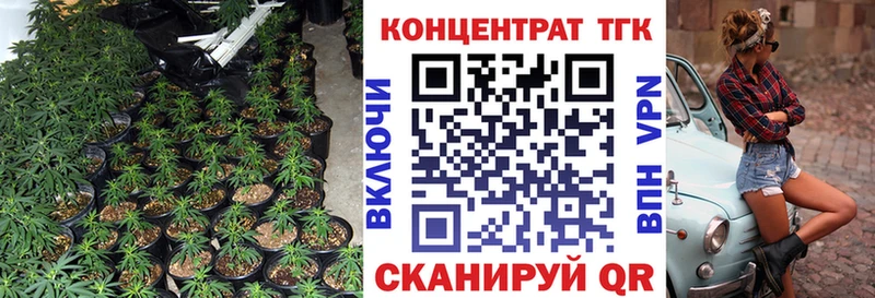 MEGA ссылка  Лесозаводск  ТГК жижа 