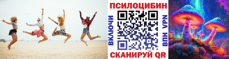 хочу   Лесозаводск  Псилоцибиновые грибы Psilocybe 